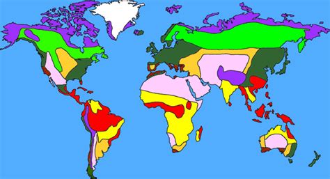 Temperate deciduous forest - Wikipedia