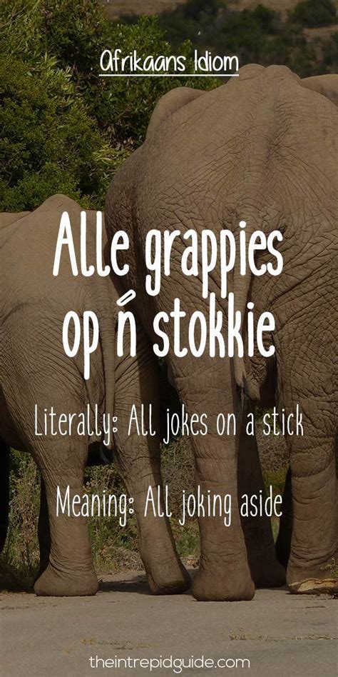 25 Hilarious Afrikaans Idioms That Should Exist in English | Afrikaans, Afrikaanse quotes ...