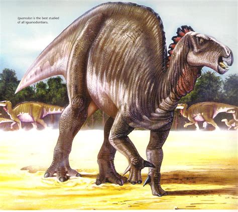 Iguanodon | Wiki Prehistórico | FANDOM powered by Wikia