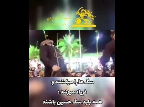 سگ ها را میکشند و فریاد میزنند همه باید سگ حسین باشند - YouTube