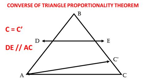 Triangle Proportionality Theorem (With Proof and Examples) - Owlcation