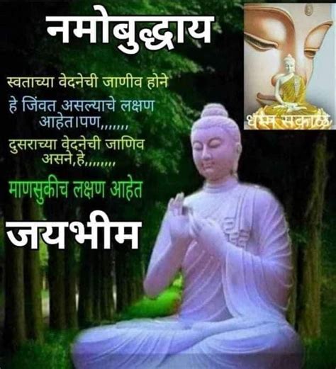 Pin by Dinprakash Awasarmol on Dinprakash | Buddha life, Buddha ...