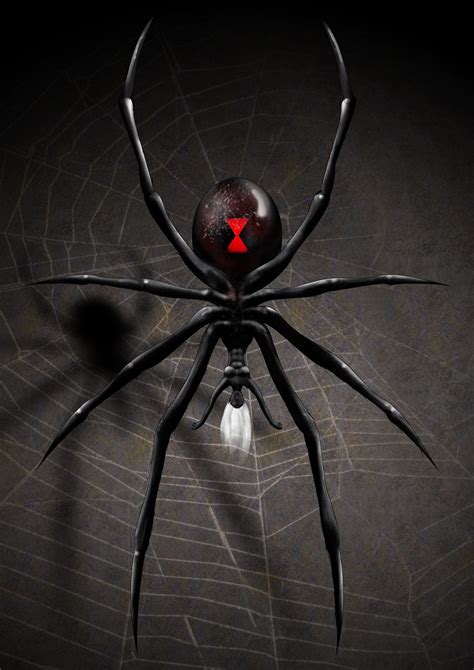 Black Widow Spider Wallpapers - Wallpaper Cave