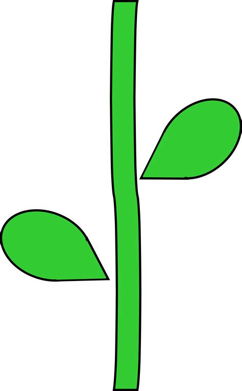 Flower With Stem Template - ClipArt Best