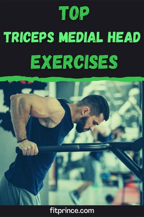 Top 5 Exercises for the Triceps Medial Head - Fitprince