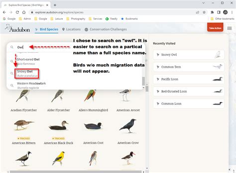 Audubon Migration Explorer: Review With Annotated Screenshots | 365 ...