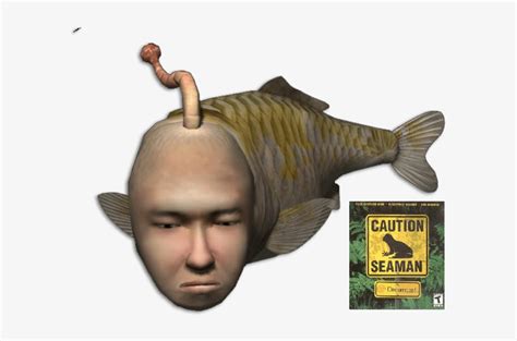 Download Transparent Seaman For Sega Dreamcast - Caution Seaman Dreamcast [sega] - PNGkit