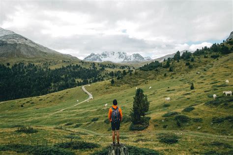 The Ultimate Hiking Guide to the Swiss National Park