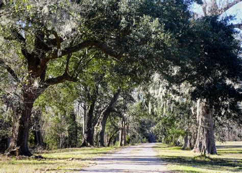 Umbria Plantation - Berkeley County, South Carolina SC