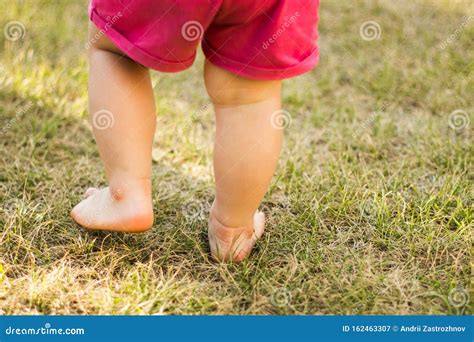 A Small Child Walks Barefoot in the Grass, Close-up Stock Image - Image ...