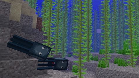 How to Create a Kelp Farm in Minecraft - Touch, Tap, Play