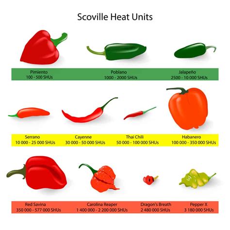 Difference Between Peppers And Chilis at Lourdes Romero blog