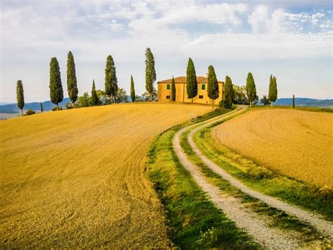 Paesaggio toscano, Italia fotografia stock. Immagine di coltivato - 44405402