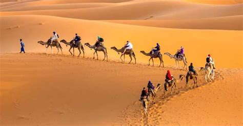 The BEST Tunisia Tours and Things to Do in 2023 - FREE Cancellation ...