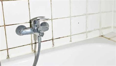 How to Clean Mold in Shower Grout: Tips and Tricks - Carpet Advisors