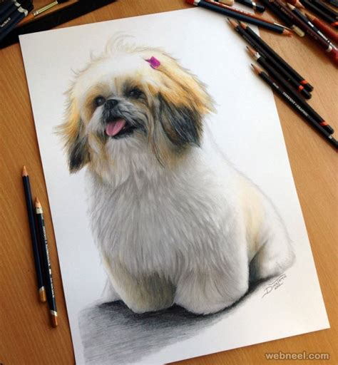 30 Beautiful Dog Drawings and Art works from top artists