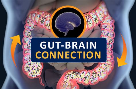 The gut-brain connection - Harvard Health