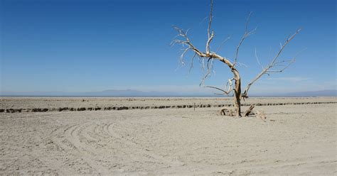 As the Salton Sea’s decline looms, a rush to cover up dry lakebed