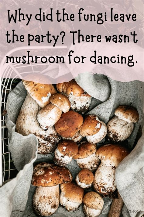 60+ Mushroom Puns That Will Magically Make You A Fun Guy - Glory of the ...