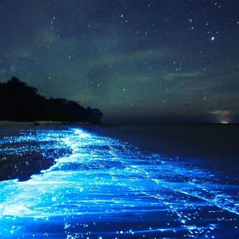 The Water Glows On This Bioluminescent Kayak Tour At An Enchanting ...