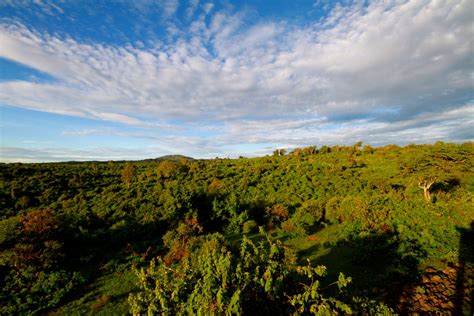 The Ark Kenya - Wildlife Spotting From Your Balcony In The Aberdare National Park