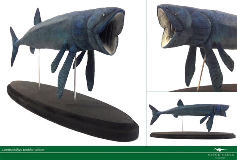 Leedsichthys by Vitor-Silva on DeviantArt