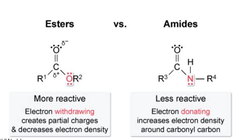 Confusion on electron withdrawing and donating effects of alkoxy, amide ...