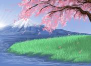 Cherry Blossom Lake Wallpaper - The Wajas Wiki