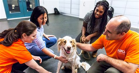 It’s National Volunteer Week: An ASPCA Volunteer Shares His Story | ASPCA