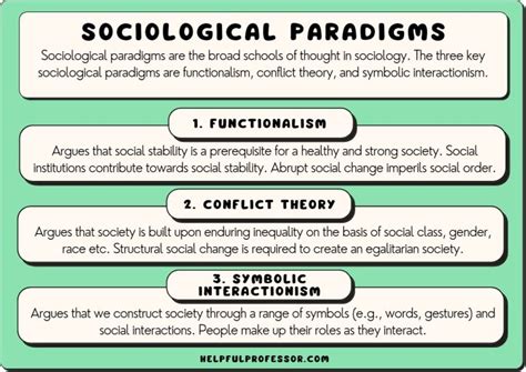 The 3 Sociological Paradigms Explained (with Pros & Cons) (2024)