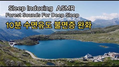 Sleep Inducing ASMR Forest Sounds For Deep Sleep - YouTube