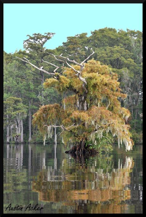 Chowan River NC Austin Acker Photography | Visit north carolina, Places to go, North carolina homes