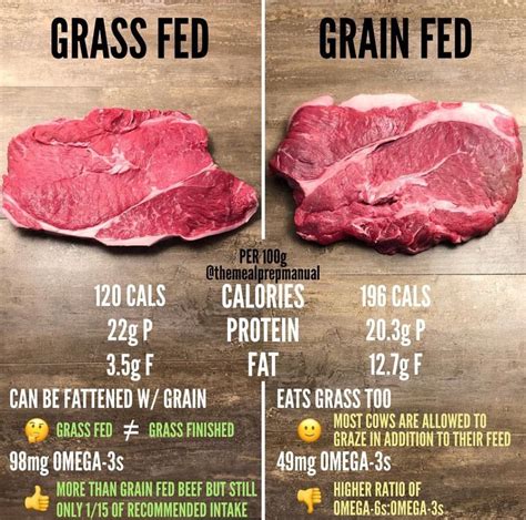 Distinguishing Between Grass-Fed vs Grain-Fed - Exercise Inc