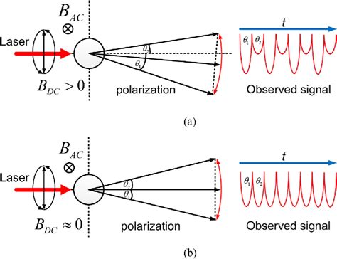 Figure 1 from Zero Magnetic Field Calibration for Single-Beam Atomic ...