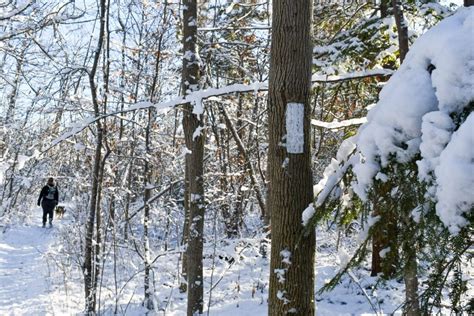 Hiking in the winter | Bruce Trail Conservancy