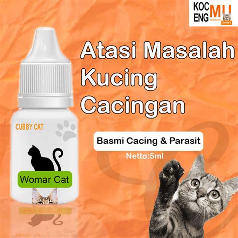 Cat Worm Medicine Cat Worm Medicine Kitter Effective Drops Cubbycat ...