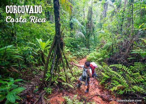 2024 Guide to Corcovado National Park, Costa Rica • James Kaiser