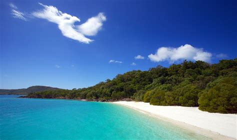 17 Queensland Beaches You Will Love | Australia Your Way