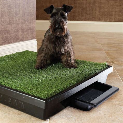 8930 large porch potty standard | Indoor dog potty, Dog potty, House training dogs