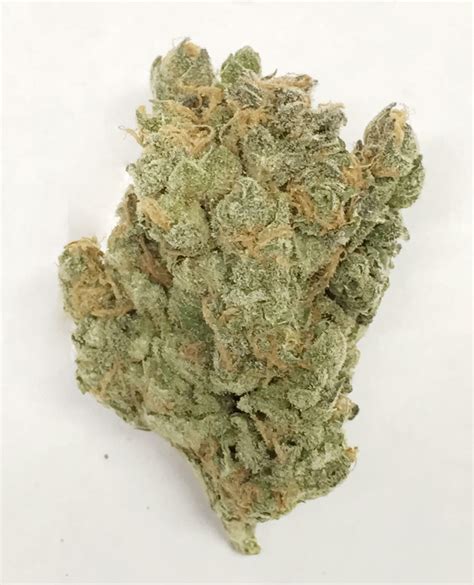 Double Dream Strain Information & Reviews | Where's Weed