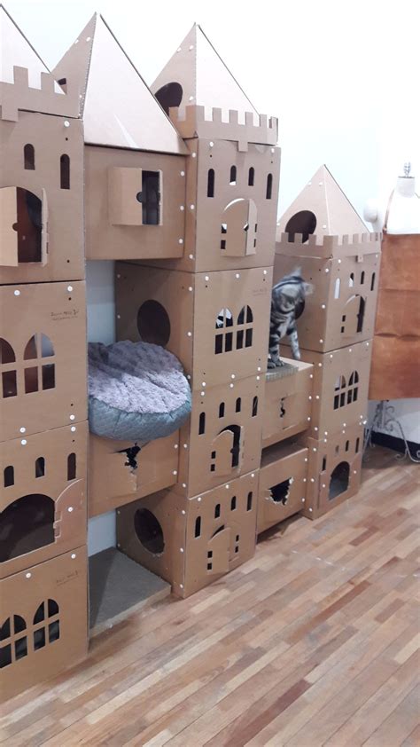 34 Cardboard Cat Castle Inspirasi Top!