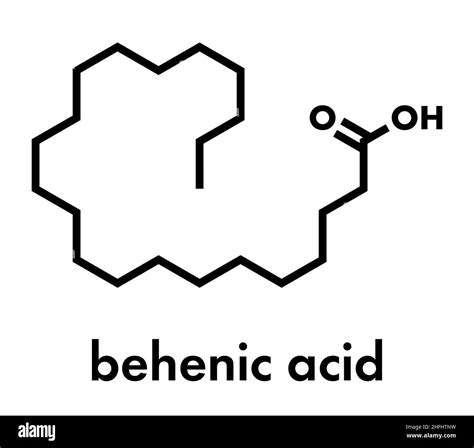 Behenic acid (docosanoic acid) saturated fatty acid molecule. Skeletal formula Stock Vector ...