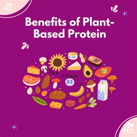 A Guide to Plant Based Protein: Benefits and Sources : Angel Starch