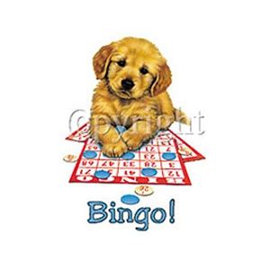 Bingo Puppy Custom Nightshirt