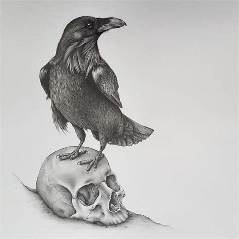 Raven upon a skull artwork by Kerry Jane #Raven #Skull #Art Pencil Drawing | Raven art, Raven ...