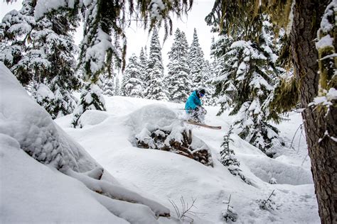 Whistler, B.C. Conditions Report + Photo Tour: 330" of Snowfall Already - SnowBrains