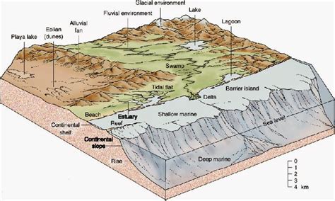 Amazing Geology: Depositional environments | Geology, Earth science, Geography activities