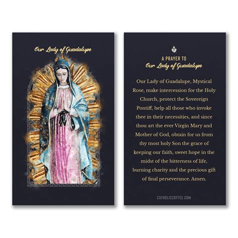 Our Lady of Guadalupe Prayer Card Pack of 3 | The Catholic Company®