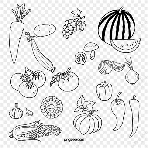 Black And White Fruits And Vegetables,grapes,sketch PNG Free Download ...