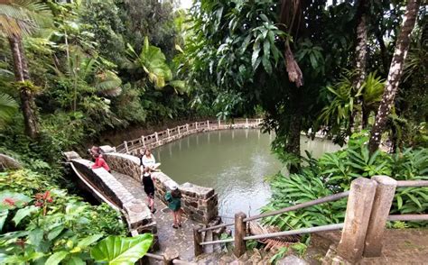 A Fun-Filled Day of Things to do in El Yunque Rainforest in Puerto Rico ...